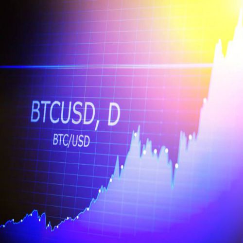 BITCOIN ITALIA: Federweb