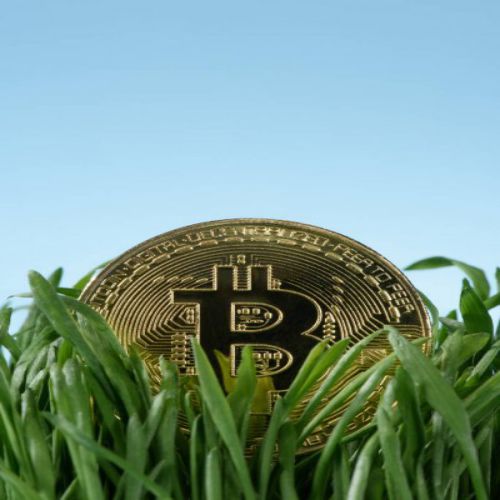 BITCOIN ITALIA: Federweb