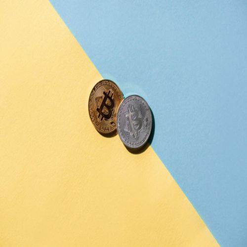 BITCOIN ITALIA: Federweb