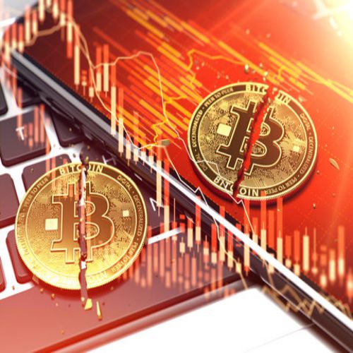BITCOIN ITALIA: Federweb
