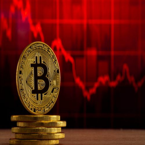 BITCOIN ITALIA: Federweb