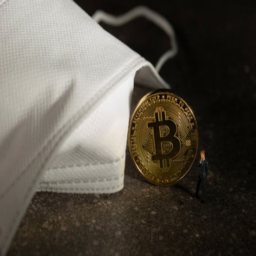 BITCOIN ITALIA: Federweb