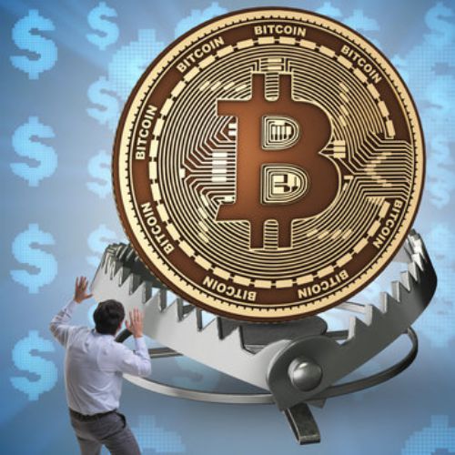 BITCOIN ITALIA: Federweb