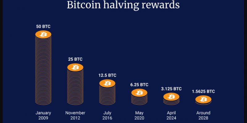 Analisi della Persistenza dei Cicli Quadriennali nell'Era dell'Adozione Istituzionale